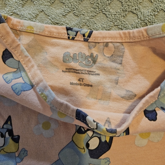 BLUEY LOVES PUPS featuring Paw Patrol - Picture 12 of 15